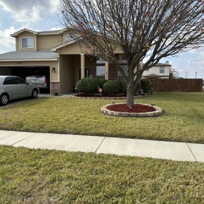 Lawn Services